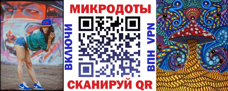 Псилоцибиновые грибы Psilocybine cubensis  Белокуриха 